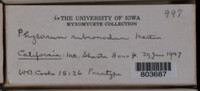 Image Associated With the Occurence
